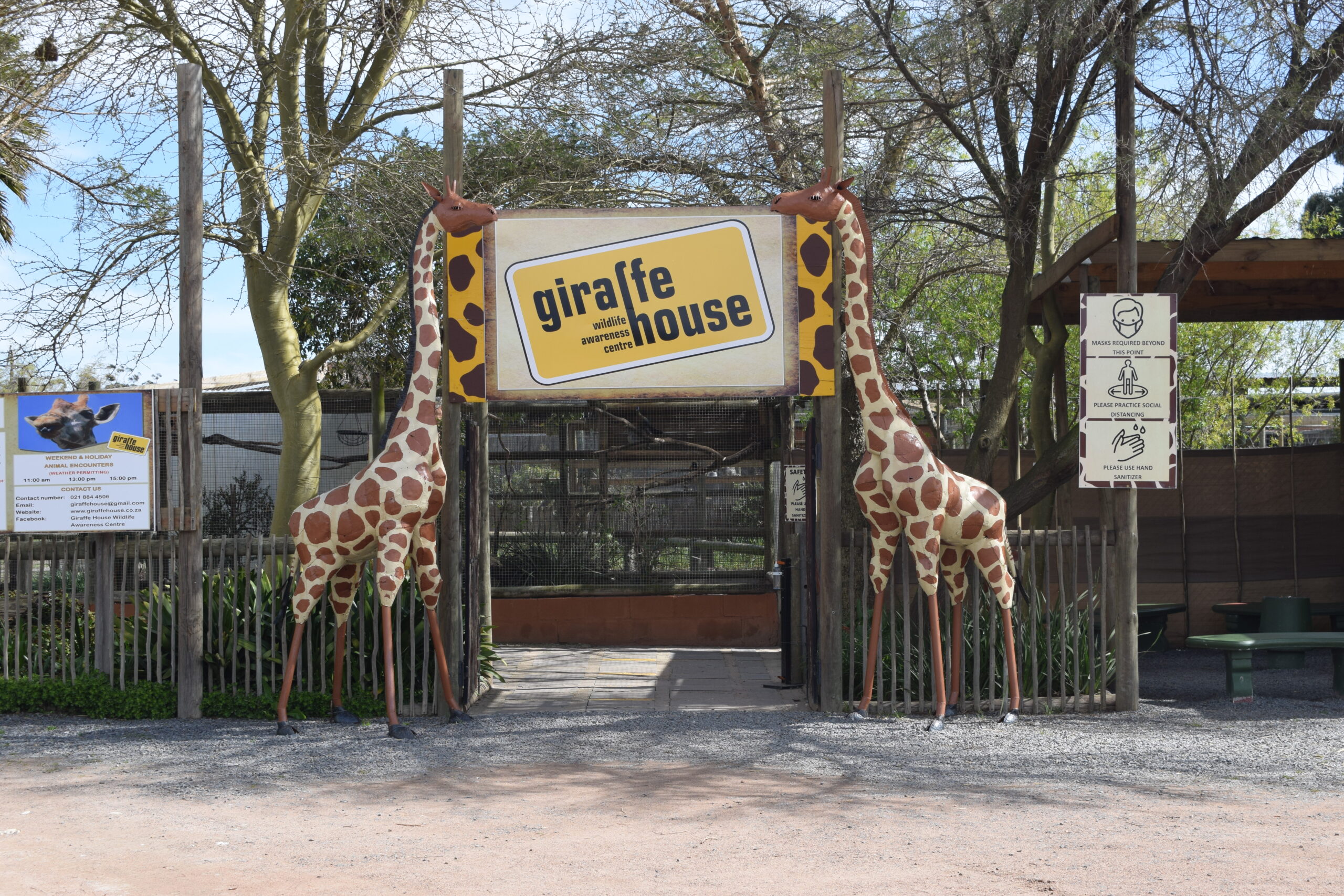 GiraffeHouse3 SMF News